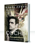 Заплутавшие сосны — изображение 2